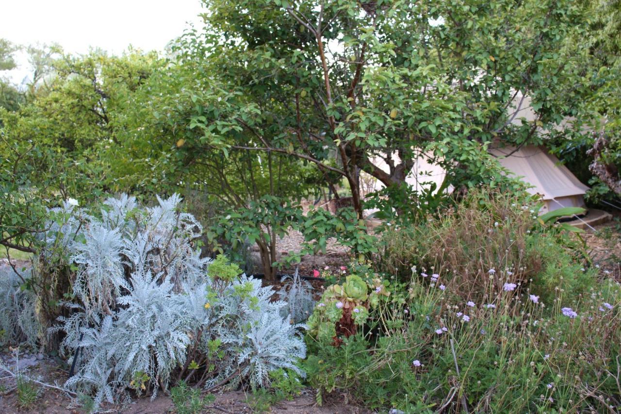 Garden Glamping In Arts Town, Riebeek Kasteel Hotel Exterior photo