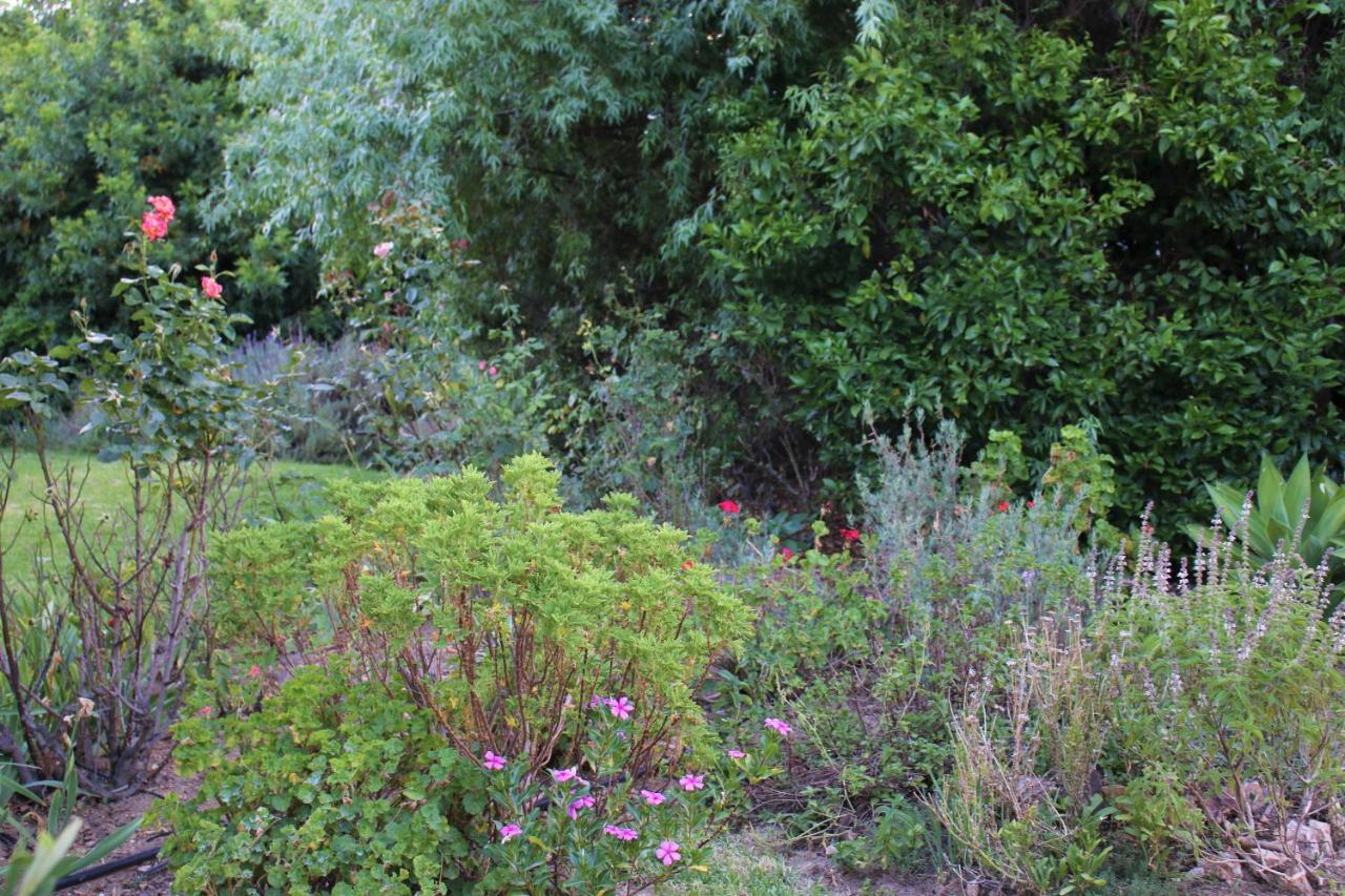 Garden Glamping In Arts Town, Riebeek Kasteel Hotel Exterior photo